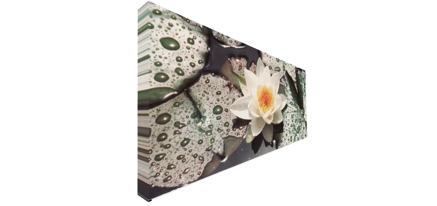 Quadro fatto a mano Fiore di loto– Arte su Tela con Effetto Pennellate | Arredo Parete Moderno o Classico (Copia) (Copia) (Copia)