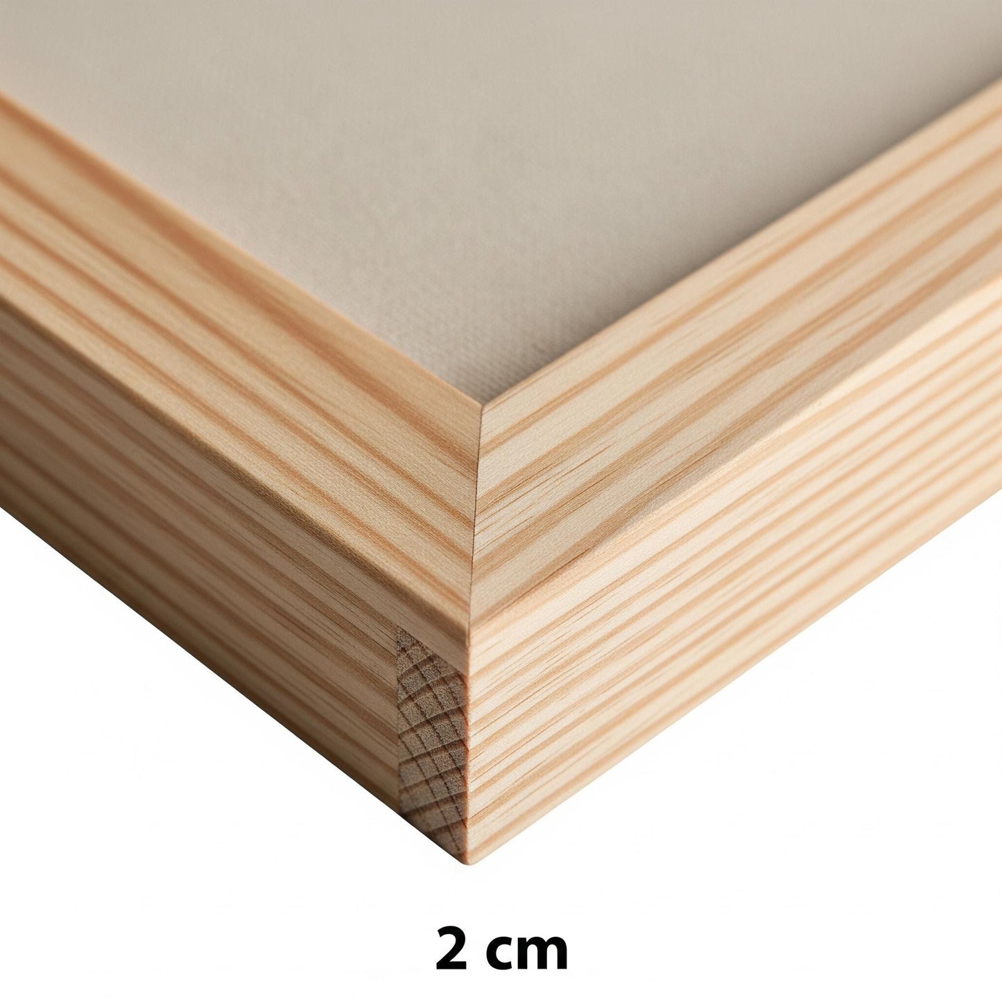 Stampa su Tela Donna Astratta – Quadro con Cornice Foglia Oro e Argento Sagomata | Arredo Classico e Moderno per Casa e Ufficio